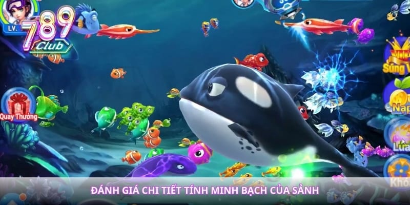 Đánh giá chi tiết tính minh bạch của sảnh